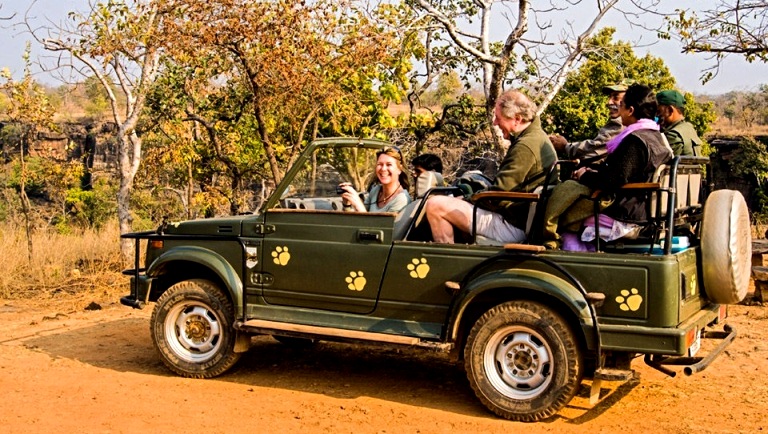Panna -Jeep Safari Fee